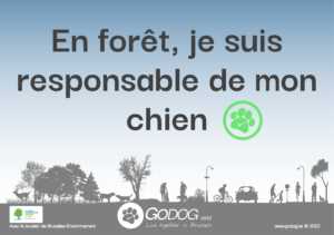 Carte postale "En Forêt, je suis responsable de mon chien"