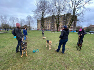 Cours thématiques d'éducation canine à Watermael-Boitsfort